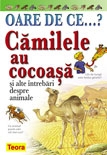 Oare de ce... Camilele au cocoasa?