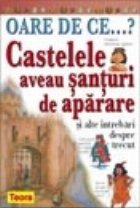 OARE Castelele aveau santuri aparare