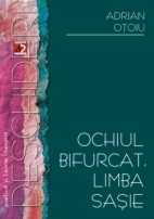 OCHIUL BIFURCAT, LIMBA SAŞIE. STRATEGII TRANSGRESIVE ÎN PROZA GENERATIEI 80