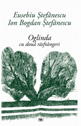 Oglinda cu doua rasfrangeri