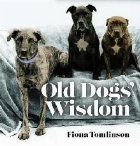 Old Dog Wisdom