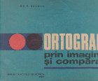 Ortografia prin imagini comparatii