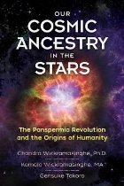 Our Cosmic Ancestry in the Stars