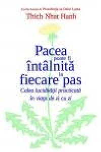 Pacea poate fi intalnita la fiecare pas. Calea luciditatii practicata in viata de zi cu zi