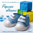 Papuceii albastri : Primul an din viata baietelului meu Papuceii albastri : Primul an din viata baietelului meu