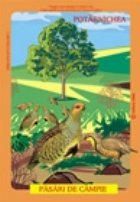Pasari din fauna Romaniei care
