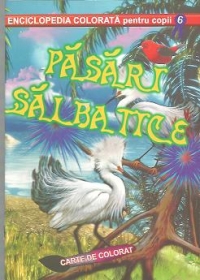 Pasari salbatice - Carte de colorat