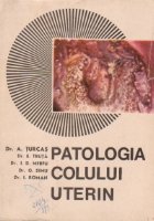 Patologia colului uterin