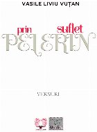 Pelerin prin suflet versuri