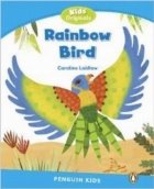 Penguin Kids Rainbow Bird Reader