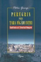 Peregrin prin Tara Fagaduintei - Galileia si Tinutul Negev