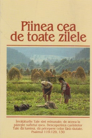 Piinea cea de toate zilele
