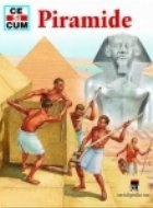 coperta Ce si cum - Piramide