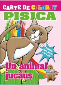 Pisica