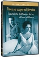 Pisica pe acoperisul fierbinte Pisica pe acoperisul fierbinte