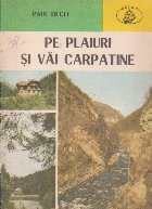 Pe plaiuri si vai carpatine
