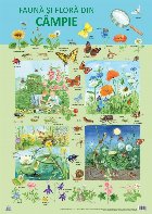 Plansa - Fauna si flora din campie