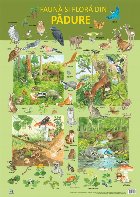Plansa - Fauna si flora din padure