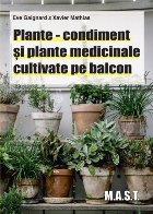 Plante-condiment şi plante medicinale cultivate pe balcon
