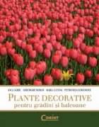 PLANTE DECORATIVE PENTRU GRADINI SI BALCOANE