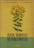 Plante medicinale din flora spontana