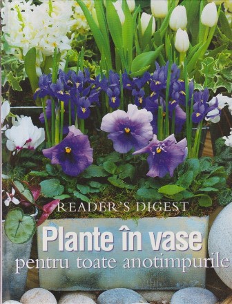 PLANTE IN VASE pentru toate anotimpurile