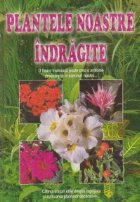 Plantele noastre indragite