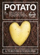 Potato