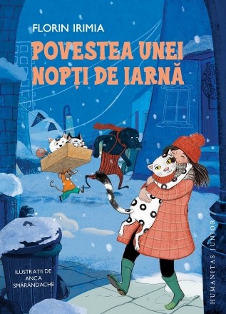 Povestea unei nopţi de iarnă