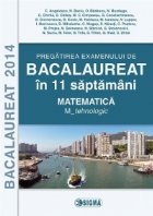 Pregatirea examenului BACALAUREAT 2014 saptamani