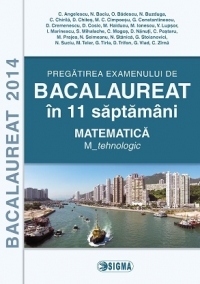 Pregatirea examenului de BACALAUREAT 2014 in 11 de saptamani. Matematica. M_tehnologic (cod 1100)