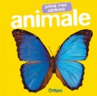 Prima mea carticica- Animale