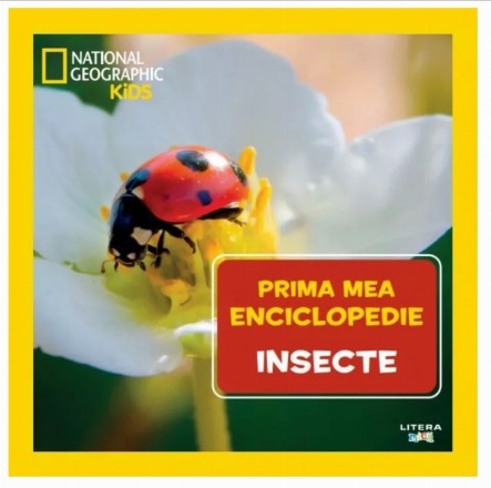 Prima mea enciclopedie : Insecte