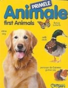 Primele animale First Animals File
