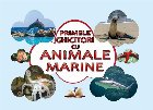 Primele ghicitori cu animale marine