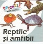 Primele mele cuvinte - Reptile si amfibii