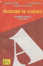 Probleme algebra Gimnaziu Liceu