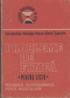 Probleme fizica pentru liceu Mecanica