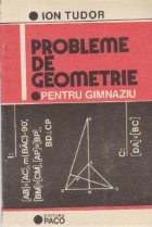Probleme de geometrie - pentru gimnaziu