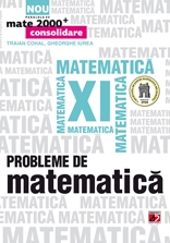 PROBLEME DE MATEMATICA. CLASA A XI-A