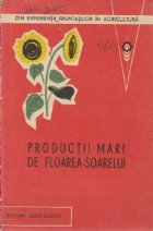 Productii mari de floarea-soarelui