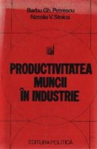 Productivitatea muncii industrie