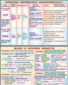 Propozitii subordonate circumstantiale (3) /Relatii si categorii semantice (duo)