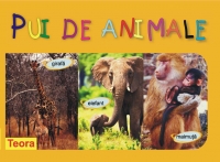 Pui de animale ( Cod 1055 )