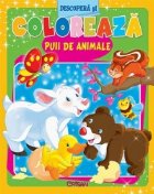 Puii de animale (Descopera si coloreaza) Puii de animale (Descopera si coloreaza)