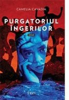 Purgatoriul ingerilor