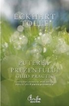 Puterea prezentului. Ghid practic - Invataturi esentiale, meditatii si exercitii preluate din cartea Puterea p