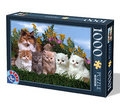 Puzzle 1000 - Animale domestice (pisici) (68 x 47cm) (6+)