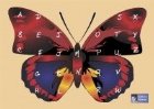 Puzzle Alfabet Rosu