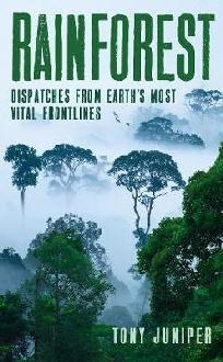 Rainforest